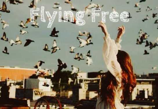 flying freeĸ