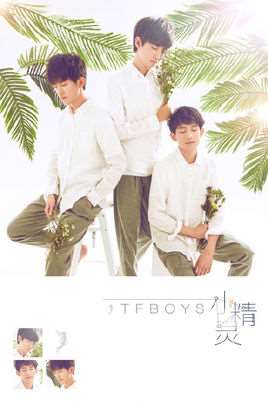 С飨TFBOYSݳ