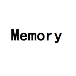 MemoryӢﵥʣ